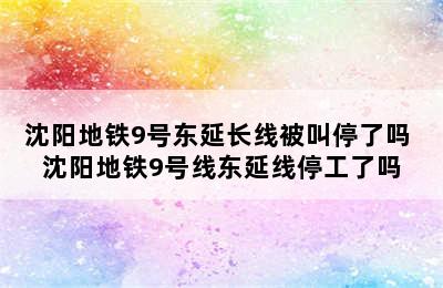 沈阳地铁9号东延长线被叫停了吗 沈阳地铁9号线东延线停工了吗